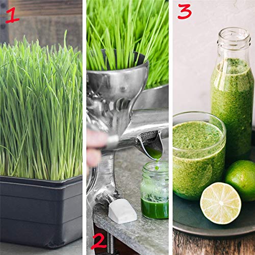 5 Pack Garden Growing Trays No Drain Holes - Plastic Plant Trays N...