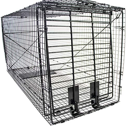 Humane Way Folding 50 Inch Live Humane Animal Trap - Safe Traps fo...
