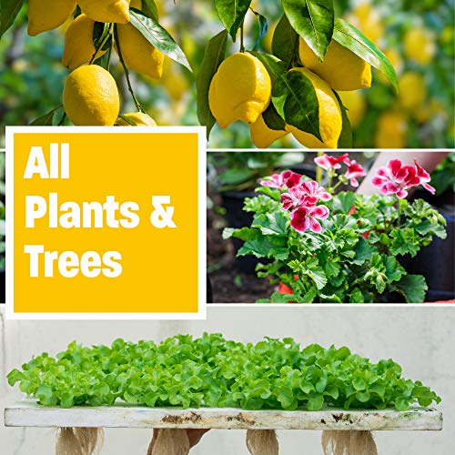 Golden Tree: Best Plant Food for Plants & Trees - Yield Increaser ...
