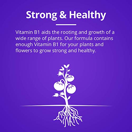 Humboldts Secret Flower Stacker – Flowering Plant Food – Nutrient ...