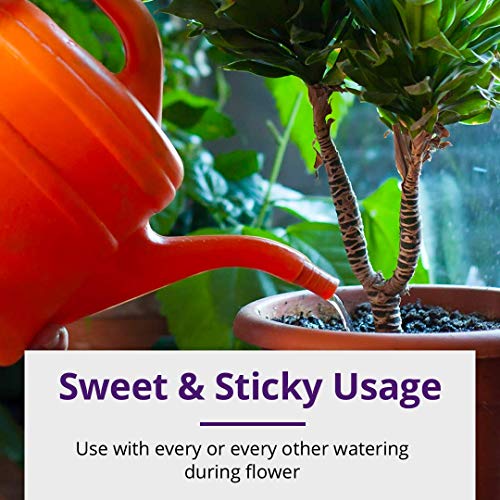 Humboldts Secret Sweet & Sticky - Carbohydrate and Saccharide Ener...