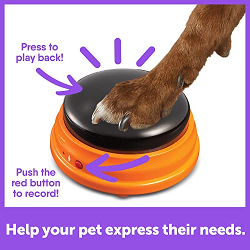 Hunger for Words Talking Pet Starter Set - 4 Piece Set Recordable ...