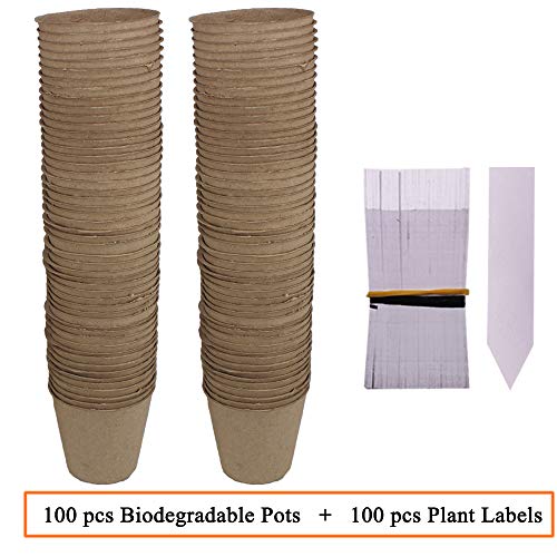 Huvai 100 Pack 3.15 Round Biodegradable Peat Pots Plant Seedling ...