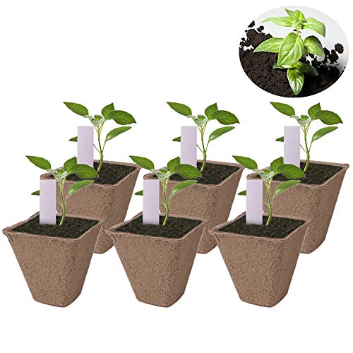 Huvai 100 Pack 3.15 Square Biodegradable Peat Pots Plant Seedling...