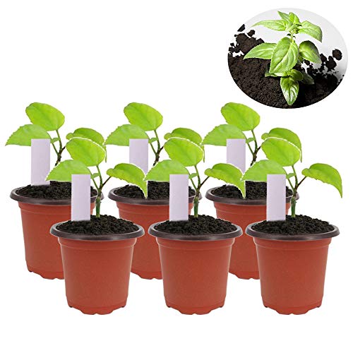 Huvai 200 Pcs 4 Inch Plastic Seedlings Plants Nursery Pots with 20...