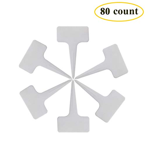Huvai 80 Pcs 6 Plastic Seedlings Plants Nursery Pots with 80 Pcs ...