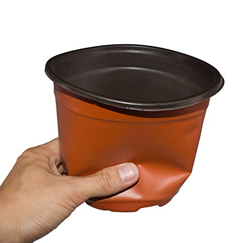 Huvai 80 Pcs 6 Plastic Seedlings Plants Nursery Pots with 80 Pcs ...