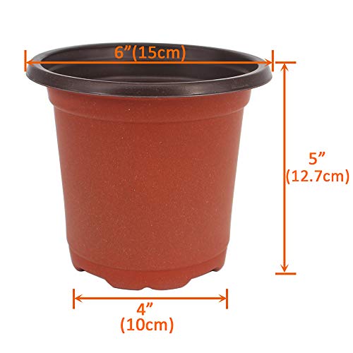 Huvai 80 Pcs 6 Plastic Seedlings Plants Nursery Pots with 80 Pcs ...