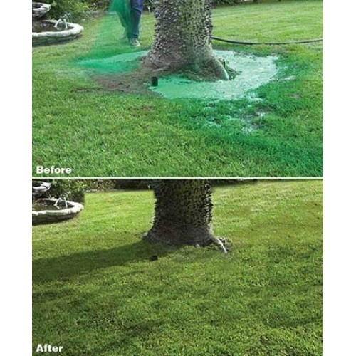 Hydro Mousse Liquid Lawn - Bermuda Grass Seed - Made in USA - Seed...