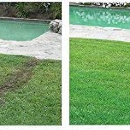 Hydro Mousse Liquid Lawn - Bermuda Grass Seed - Made in USA - Seed...