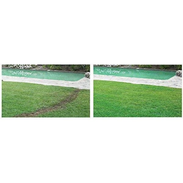 Hydro Mousse Liquid Lawn - Bermuda Grass Seed - Made in USA - Seed...