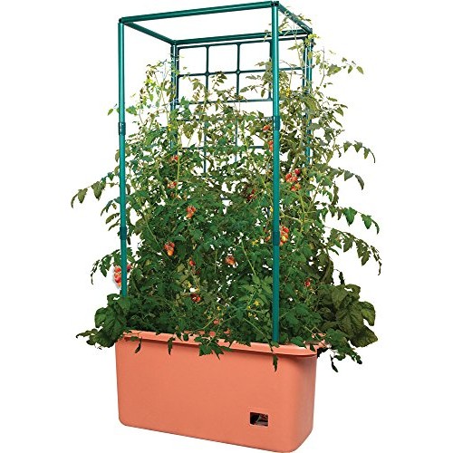 Hydrofarm GCTR Tomato Trellis Garden on Wheels Tree Tower, Green