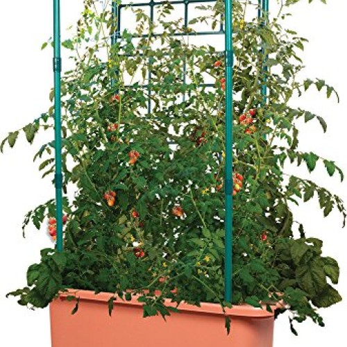 Hydrofarm GCTR Tomato Trellis Garden on Wheels Tree Tower, Green