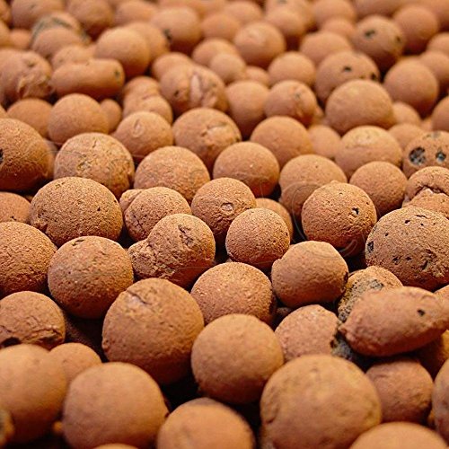 Plant!T HYDROPONIC Clay Pebbles Porous Rock + Twin Canaries Chart ...
