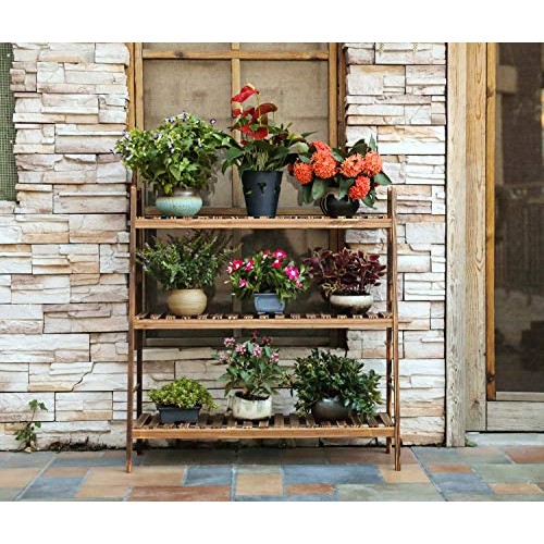 HYNAWIN 3 Tiers Carbonized Wood Plant Stand Shelf Holder Indoor Ou...