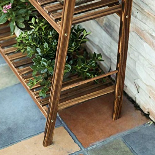 HYNAWIN 3 Tiers Carbonized Wood Plant Stand Shelf Holder Indoor Ou...