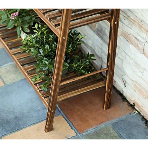 HYNAWIN 3 Tiers Carbonized Wood Plant Stand Shelf Holder Indoor Ou...