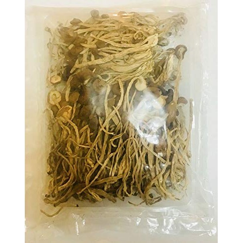 Dried Agrocybe Fungus Mushroom 茶樹菇 16 oz - Free US Shipping