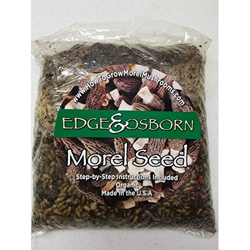 Morel Mushroom Grow kit