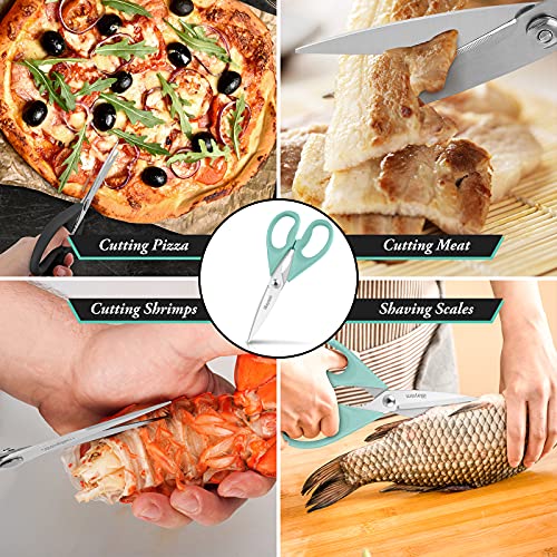 Kitchen Poultry Shears, iBayam Meat Scissors Heavy Duty Dishwasher...