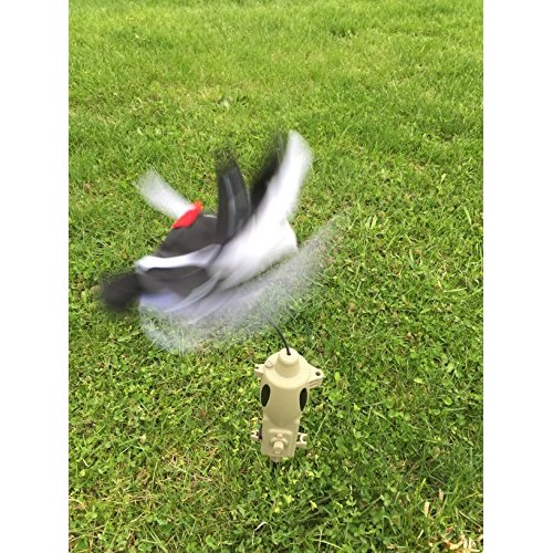 Icotec PD200 Stand Alone Predator Decoy - Lightweight, Compact, an...