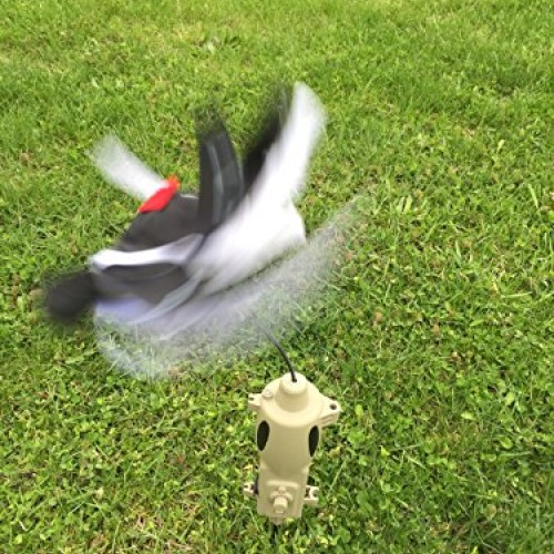 Icotec PD200 Stand Alone Predator Decoy - Lightweight, Compact, an...
