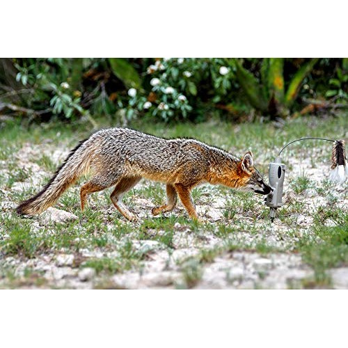 Icotec PD200 Stand Alone Predator Decoy - Lightweight, Compact, an...