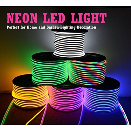 IEKOV LED NEON Light, AC 110-120V Flexible RGB LED Neon Light Stri...