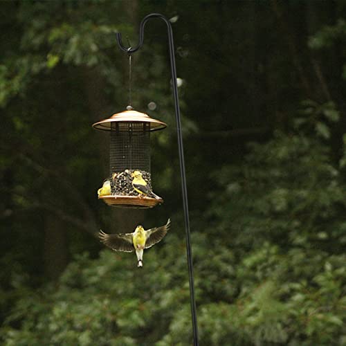 Bird Feeder Pole, 62 Inch & 5/8 Inch Diameter Stainless Steel Heav...