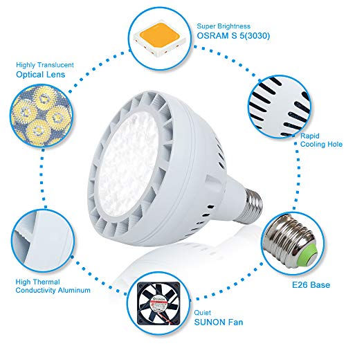 50W LED Pool Light Bulb, 5000LM 120V 6000K Daylight White LED Swim...