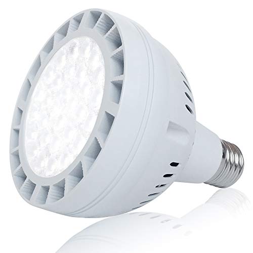 50W LED Pool Light Bulb, 5000LM 120V 6000K Daylight White LED Swim...