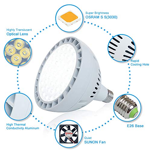 65W LED Pool Light Bulb, 6500LM 120V 6000K Daylight White LED Swim...