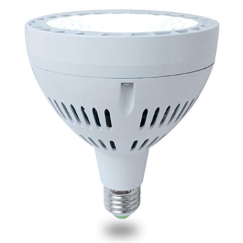 65W LED Pool Light Bulb, 6500LM 120V 6000K Daylight White LED Swim...