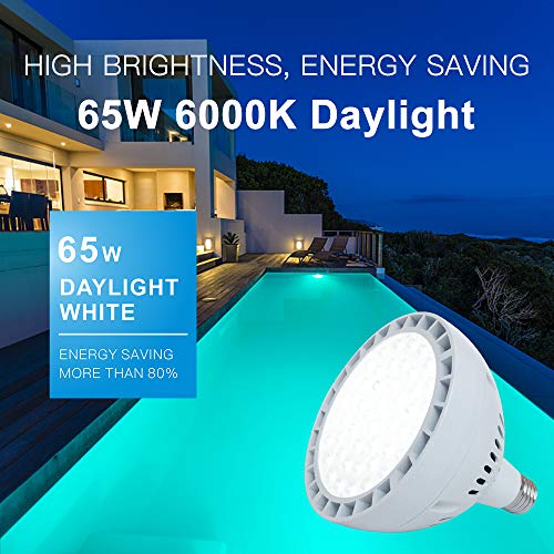 65W LED Pool Light Bulb, 6500LM 120V 6000K Daylight White LED Swim...