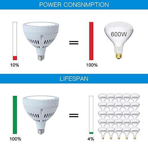 65W LED Pool Light Bulb, 6500LM 120V 6000K Daylight White LED Swim...
