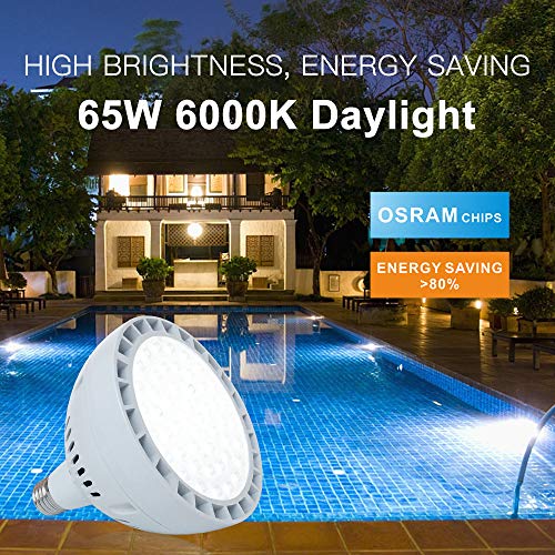 65W LED Pool Light Bulb, 6500LM 120V 6000K Daylight White LED Swim...