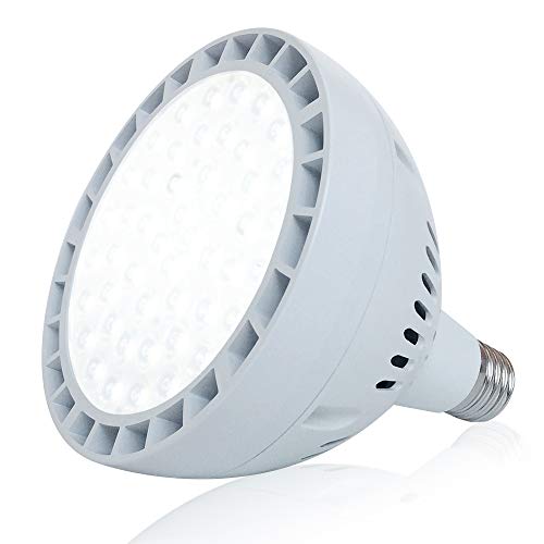 65W LED Pool Light Bulb, 6500LM 120V 6000K Daylight White LED Swim...