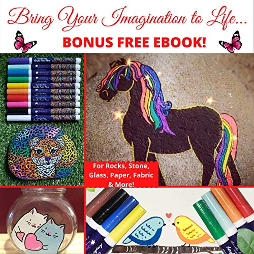 Acrylic paint pens for rock painting, set of 14 extra fine 0.7mm p...