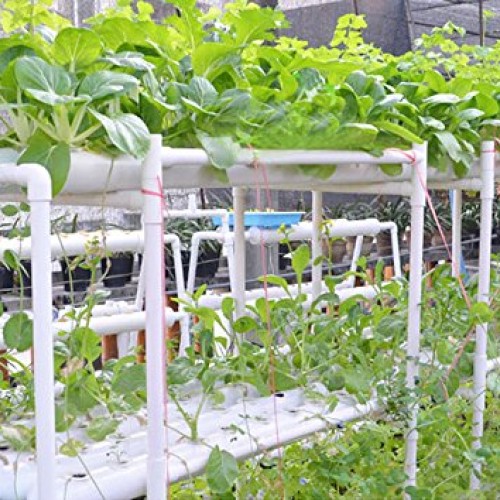 INTBUYING 72 Holes Hydroponic Site Grow Kit Garden Plant System wi...