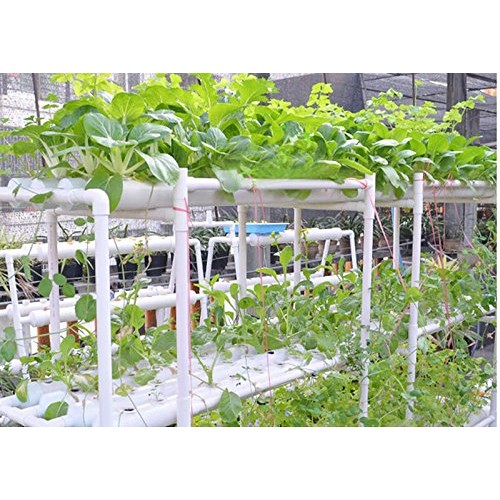 INTBUYING 72 Holes Hydroponic Site Grow Kit Garden Plant System wi...