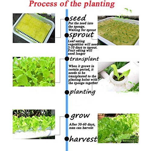 INTBUYING 72 Holes Hydroponic Site Grow Kit Garden Plant System wi...