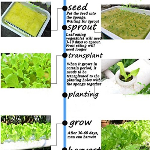 INTBUYING 72 Holes Hydroponic Site Grow Kit Garden Plant System wi...
