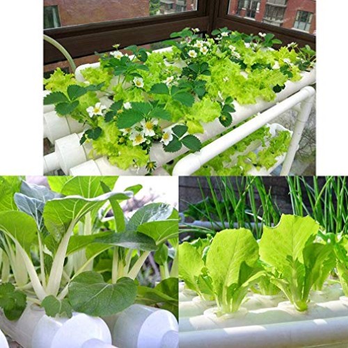 INTBUYING 72 Holes Hydroponic Site Grow Kit Garden Plant System wi...