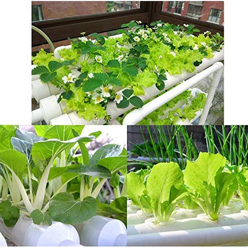 INTBUYING 72 Holes Hydroponic Site Grow Kit Garden Plant System wi...