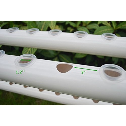INTBUYING Hydroponic Grow Kit Hydroponic Growing System for Leafy ...