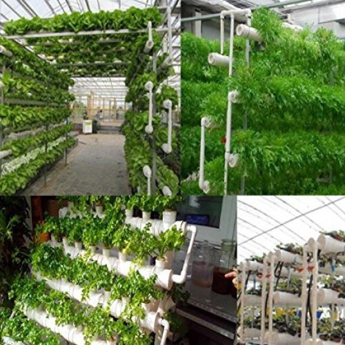 INTBUYING Hydroponic Grow Kit Hydroponic Growing System for Leafy ...