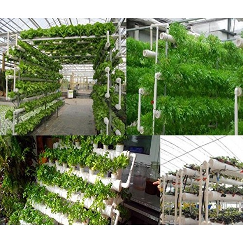 INTBUYING Hydroponic Grow Kit Hydroponic Growing System for Leafy ...