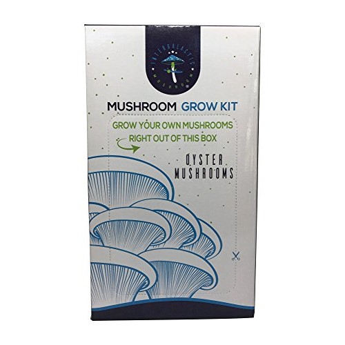 Oyster Mushroom Growing Kit by Intergalactic Mushroom. Grow Edible...