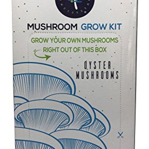 Oyster Mushroom Growing Kit by Intergalactic Mushroom. Grow Edible...