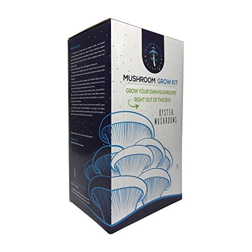 Oyster Mushroom Growing Kit by Intergalactic Mushroom. Grow Edible...